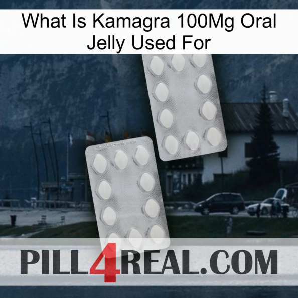 What Is Kamagra 100Mg Oral Jelly Used For 17.jpg